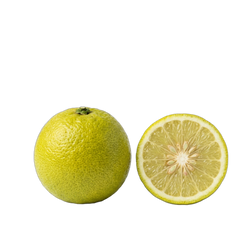 Bergamot