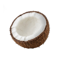 Coconut