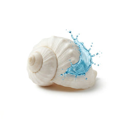 Aquatic Notes