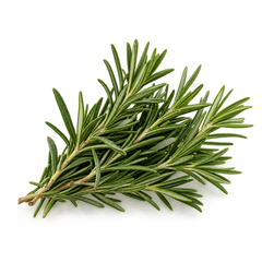Rosemary