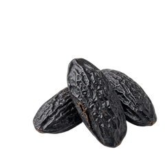 Tonka Bean