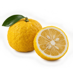 Yuzu