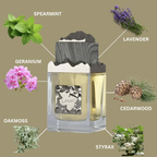 Maison Alhambra Lava U EDP 3.4 oz