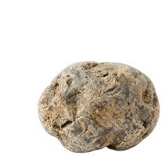 Ambergris