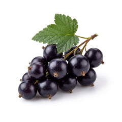 Blackcurrant