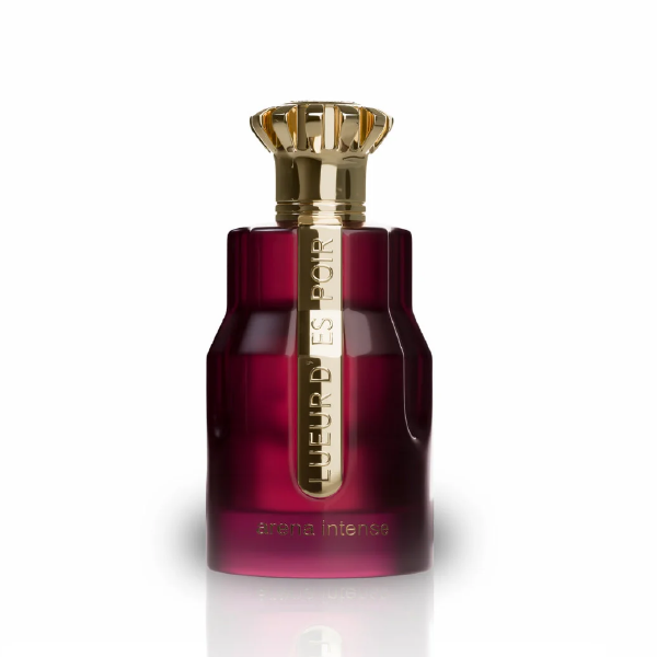 Paris Corner Arena Intense U EDP 3.4 Oz