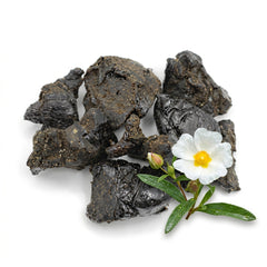 Labdanum