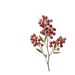 Pink Pepper