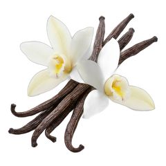 Vanilla